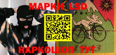 шишки Лесосибирск