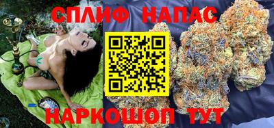 шишки Лесосибирск