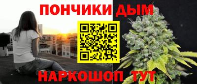шишки Лесосибирск