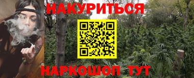 шишки Лесосибирск