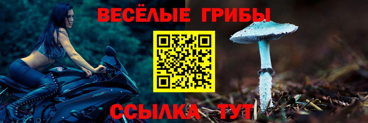 Грязи  Псилоцибиновые грибы Cubensis  купить закладку  Вход с VPN 